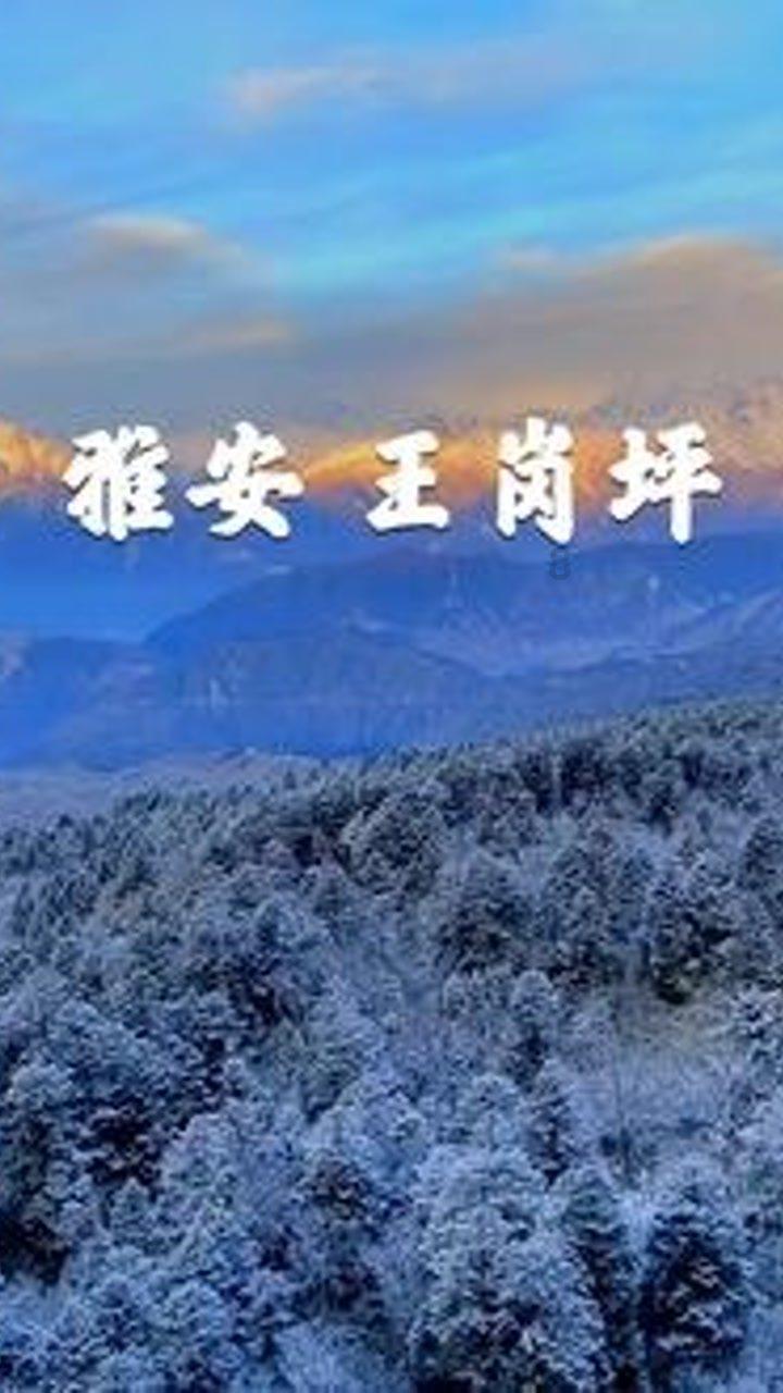 殡葬题材《人生大事》，朱一龙这演员有点厉害，你怎么评价？