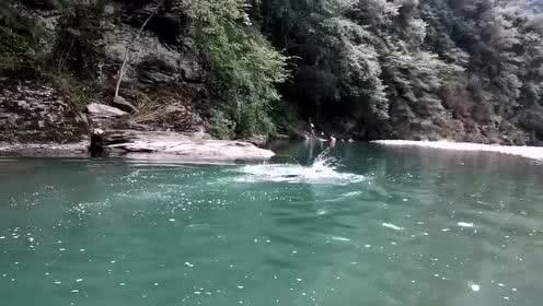 拯救可爱袋鼠