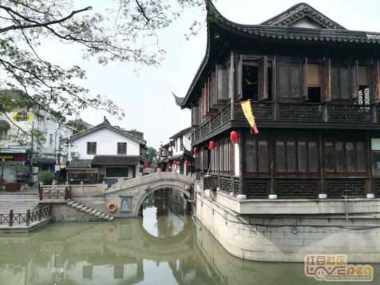 小狗救援行动选关版